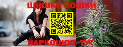 МДПВ Новозыбков