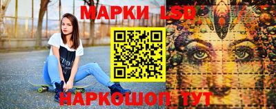 МДПВ Новозыбков