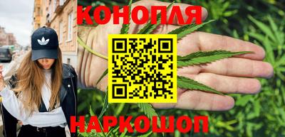 МДПВ Новозыбков