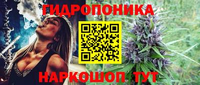 ECSTASY Новодвинск