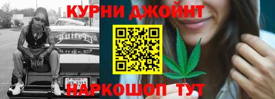 МДПВ Новозыбков