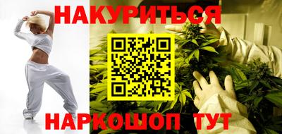 МДПВ Новозыбков