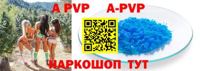 МДПВ Новозыбков
