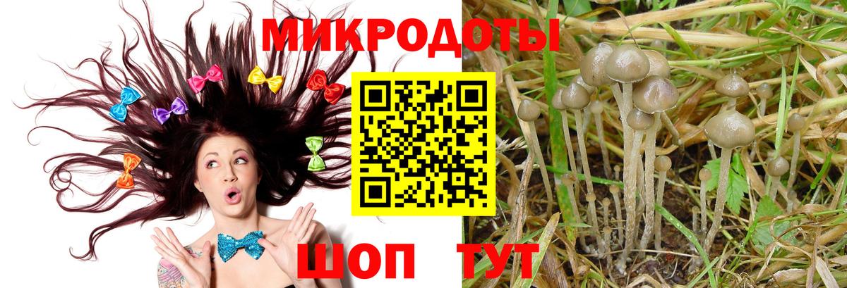 Галлюциногенные грибы Psilocybine cubensis  Вход с VPN  Торжок 